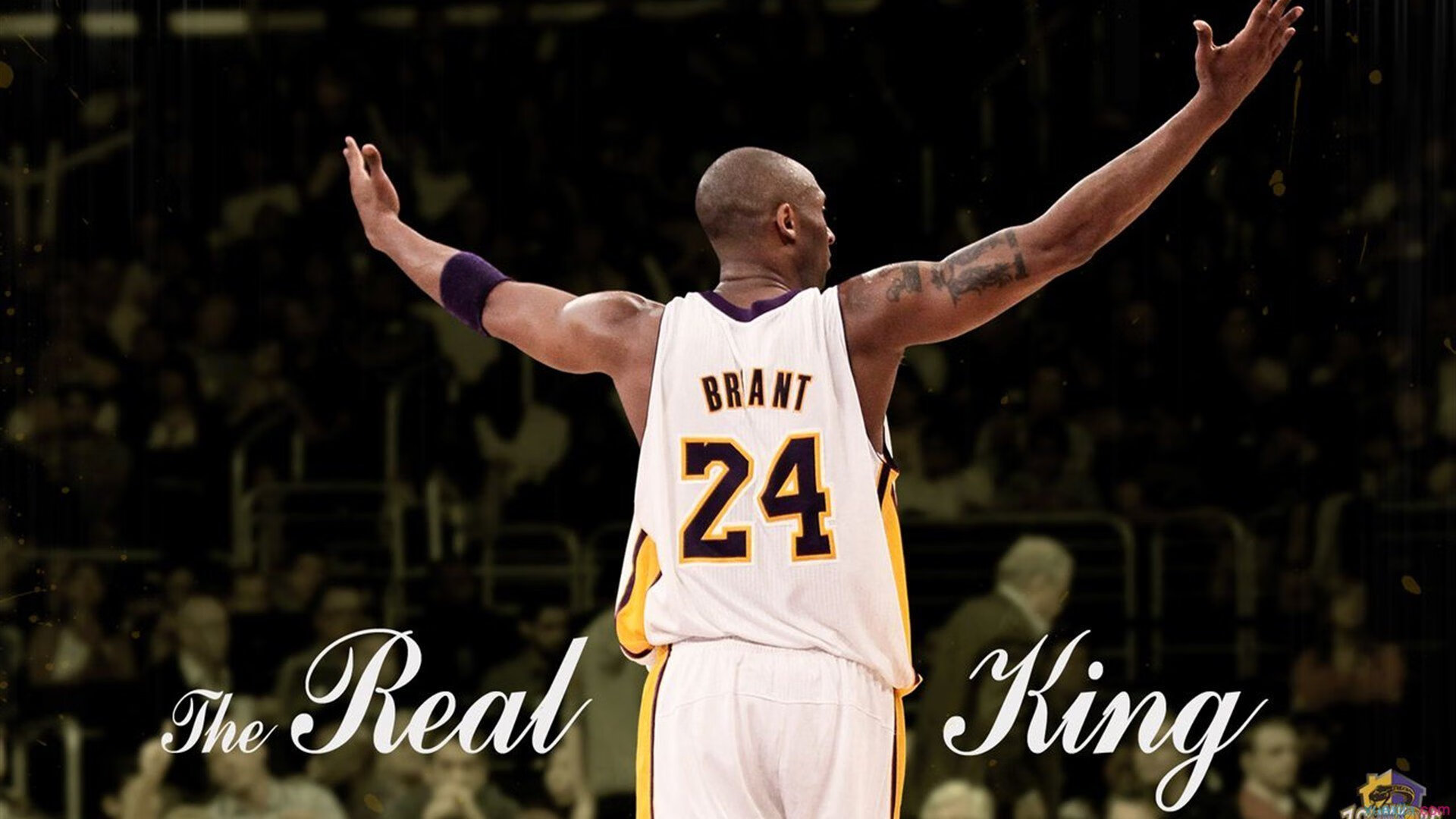 赛场外:F1的环保公益行动,f1 环保