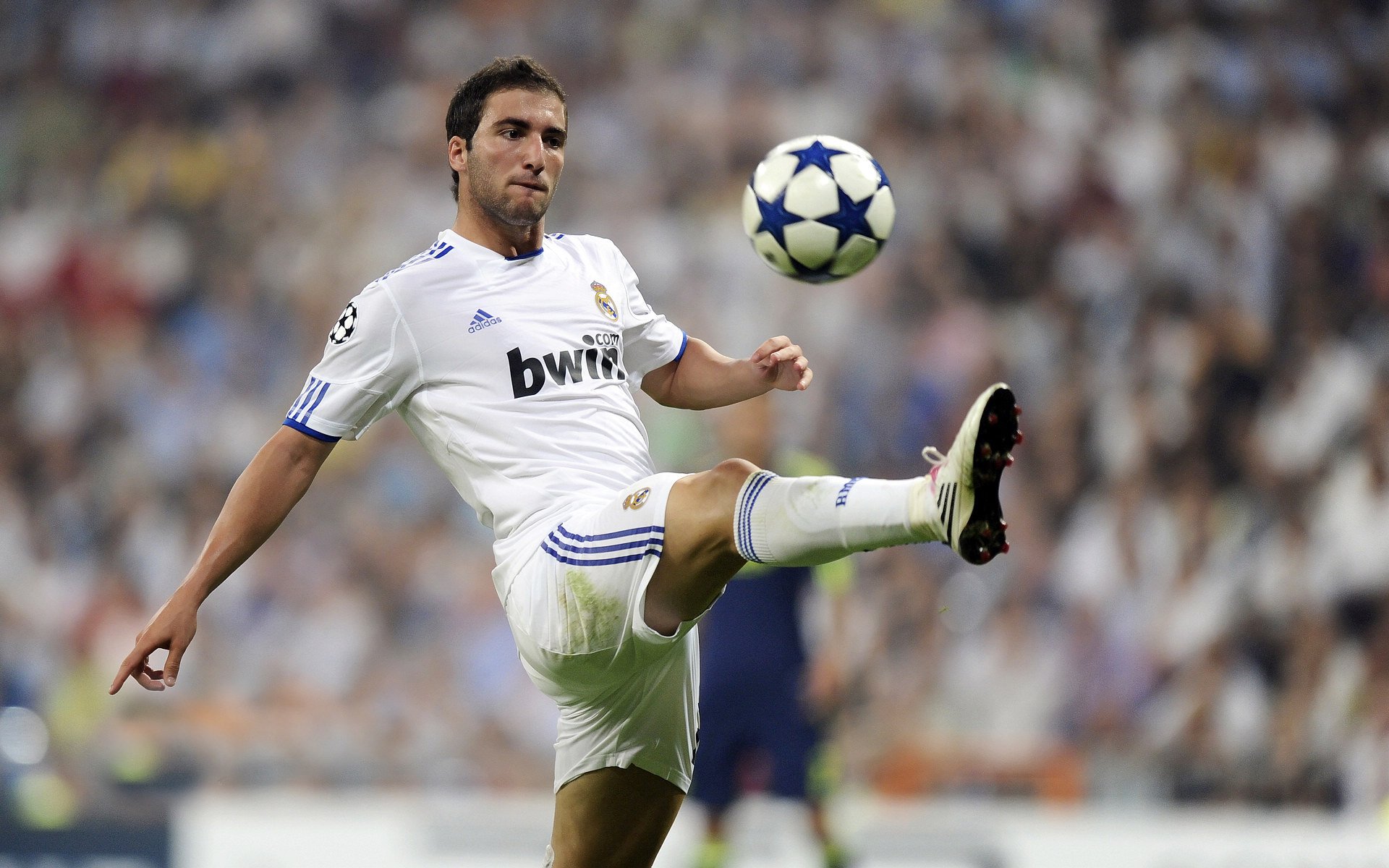 雄鹿队主教练重申团队目标,全力打造王者之师,雄鹿教练是谁