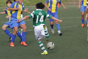 九游网页官网-中国足球外援依赖度趋势分析，中国足球外援依赖度趋势分析图